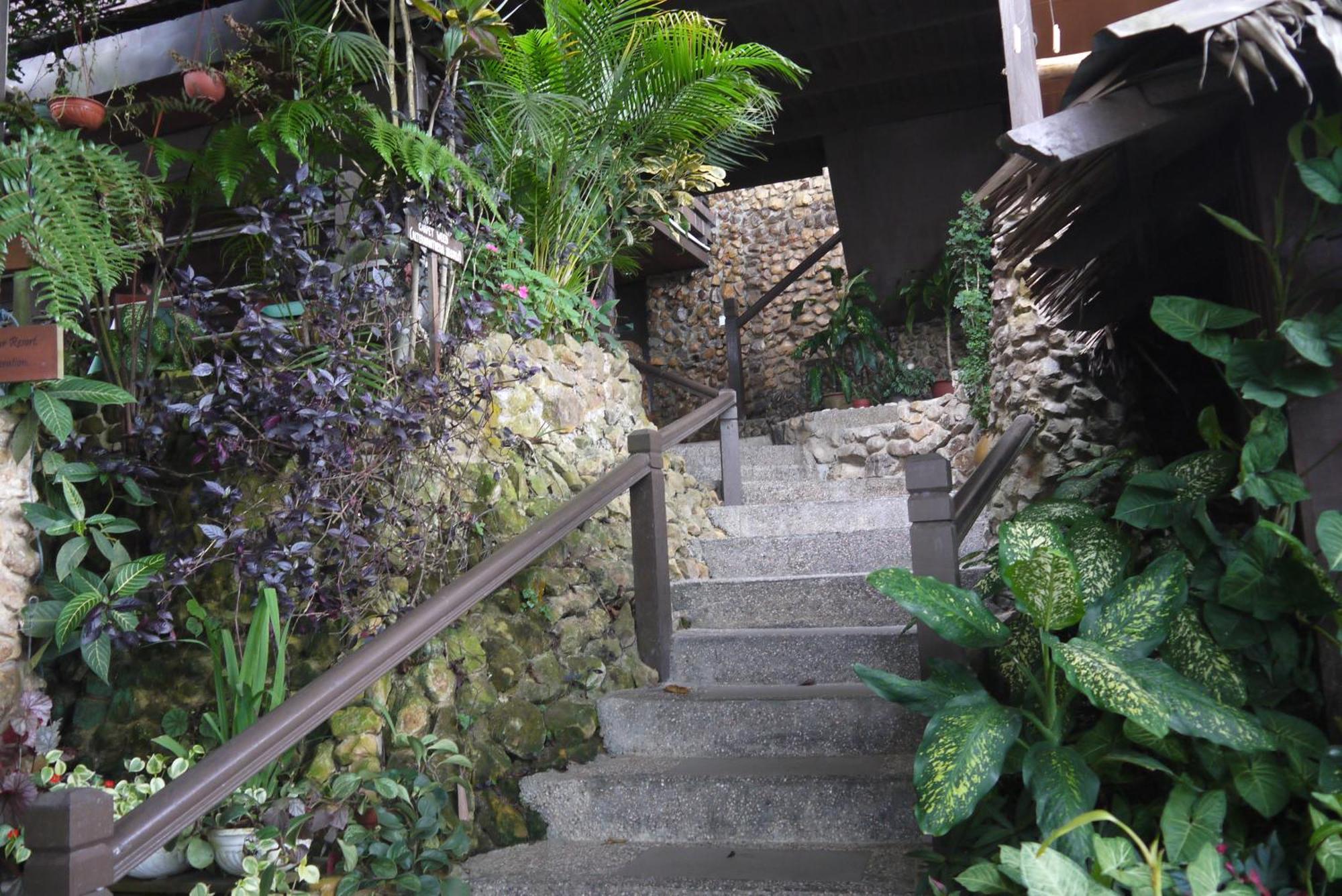 Kasih Sayang Hill Resort Kota Kinabalu Exterior foto